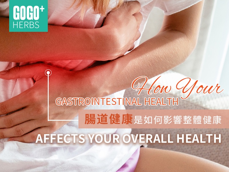 腸道健康影響整體健康