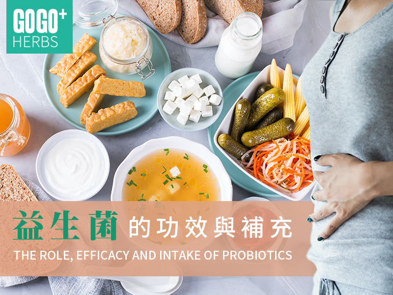 益生菌的功效與補充