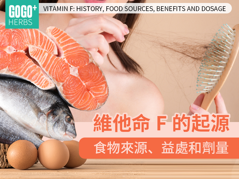 維他命F