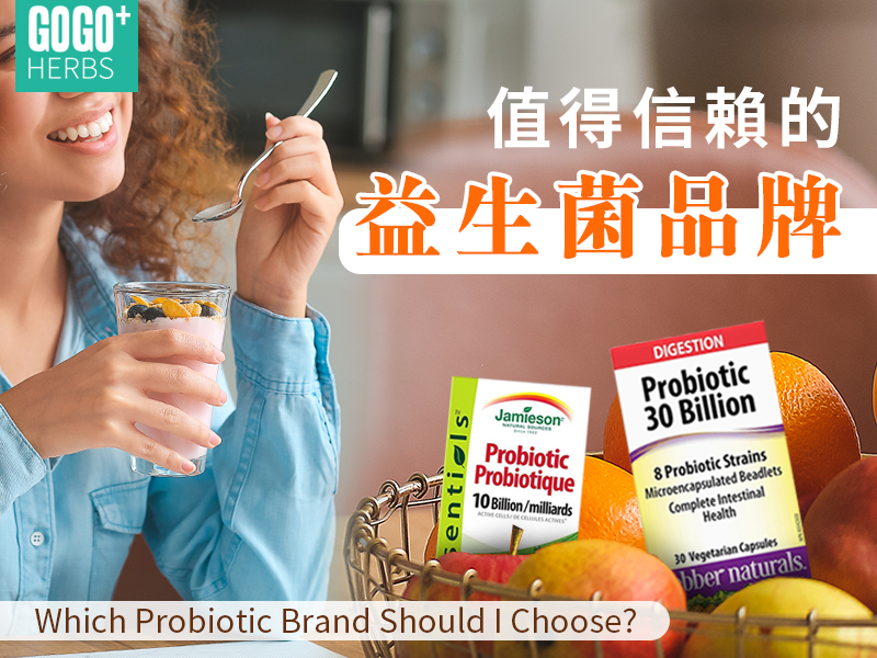 優質益生菌品牌