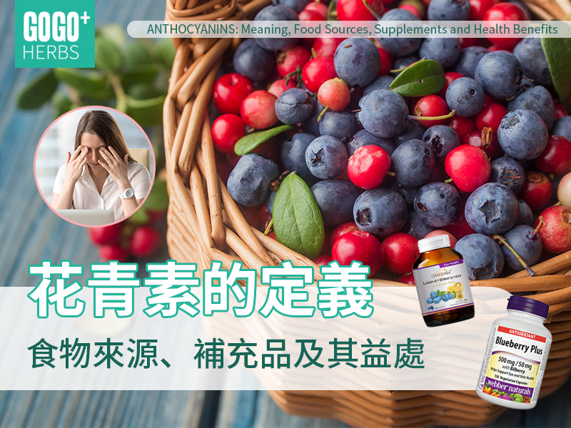 花青素的益處