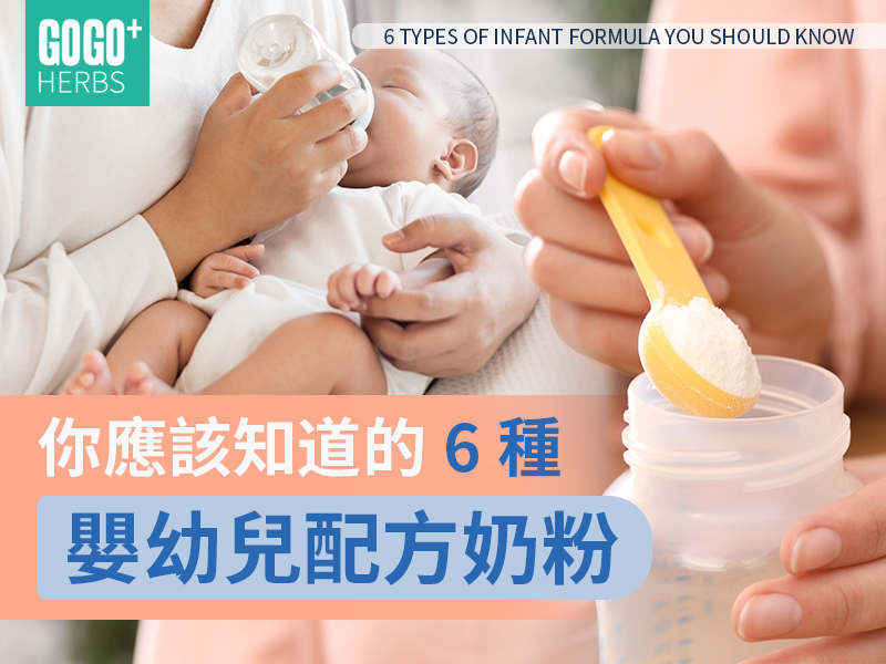 你應該知道的6種嬰幼兒配方奶粉