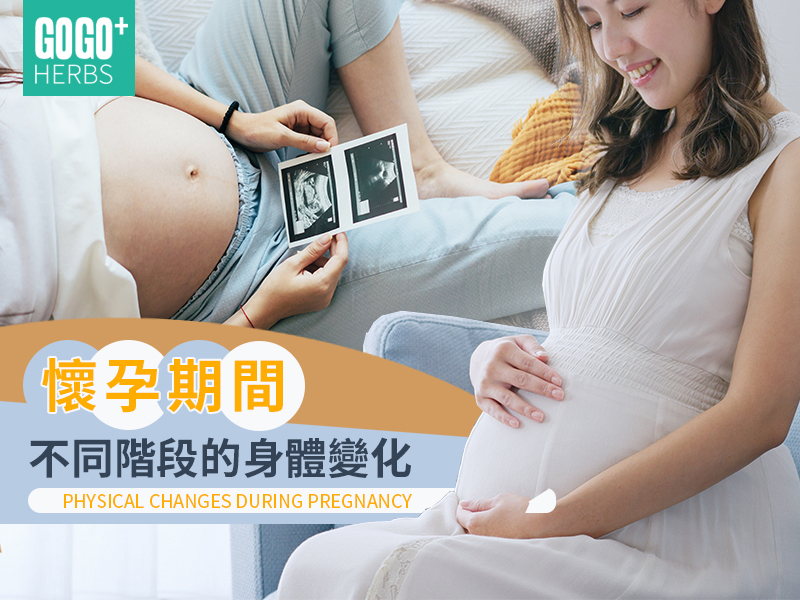 懷孕期間不同階段的身體變化