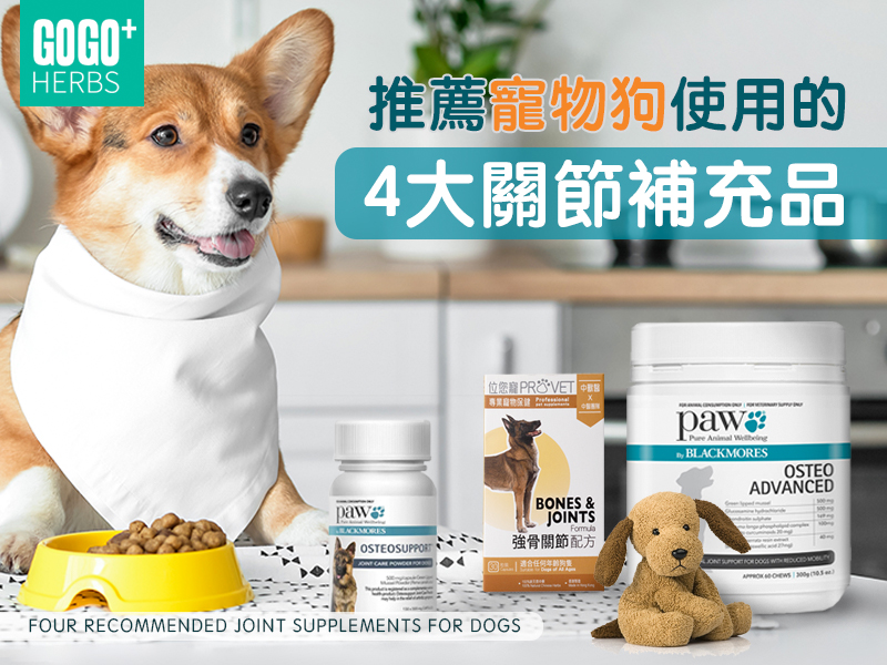 推薦寵物狗使用的4大關節補充品