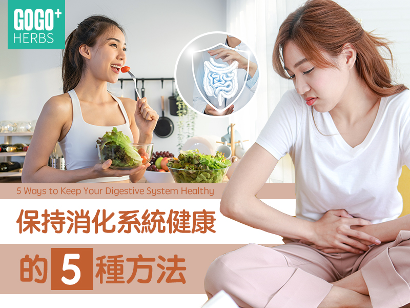 保持消化系統健康的5種方法