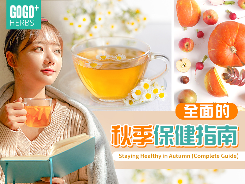 全面的秋季保健指南