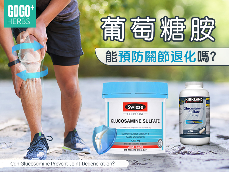 葡萄糖胺能預防關節退化嗎？