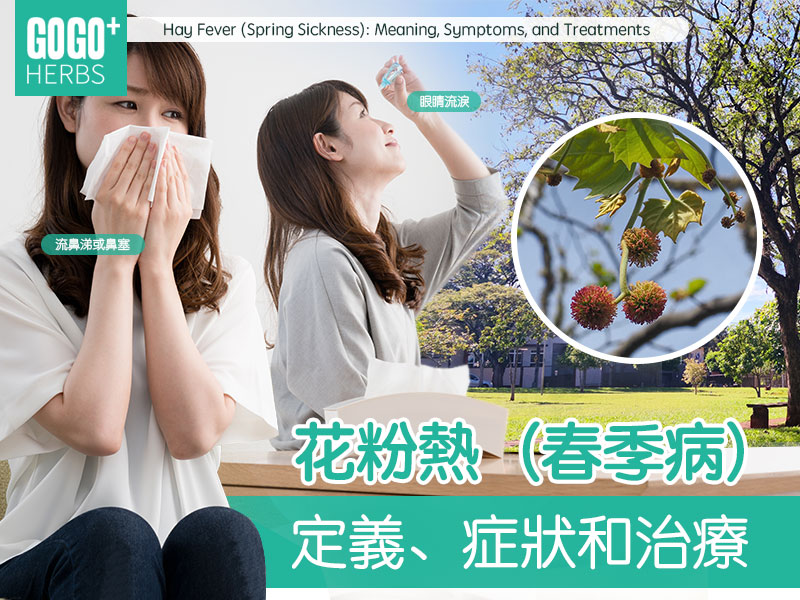 花粉熱（春季病）：定義、症狀和治療