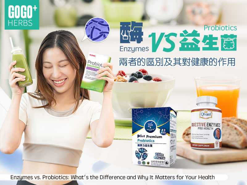 酶VS.益生菌：兩者的區別及其健康作用