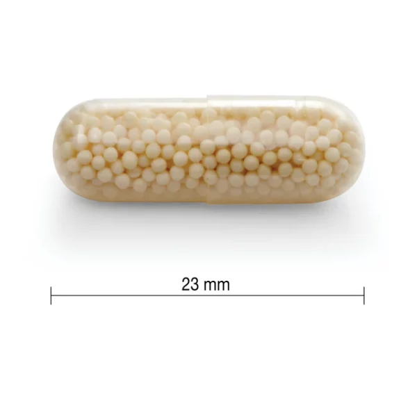 Jamieson - 長效維他命C 500毫克 100粒 - Image 2