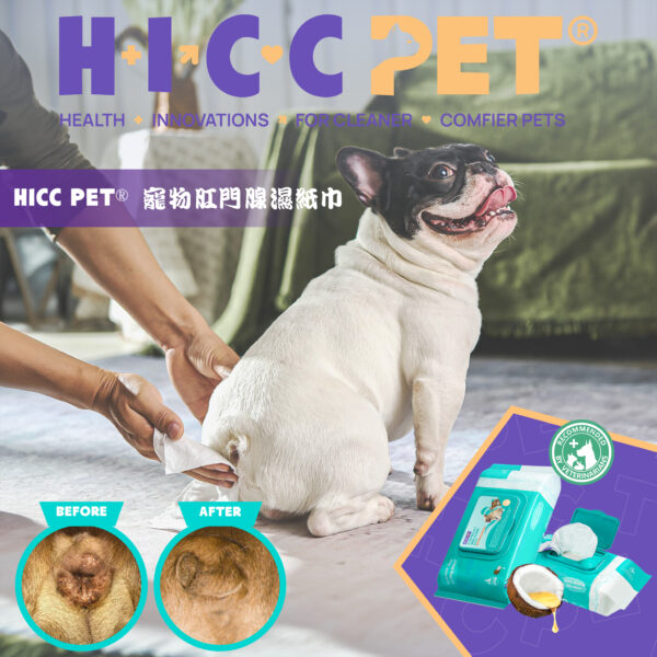 HICC Pet® – 寵物肛門腺濕紙巾 100片 - Image 2