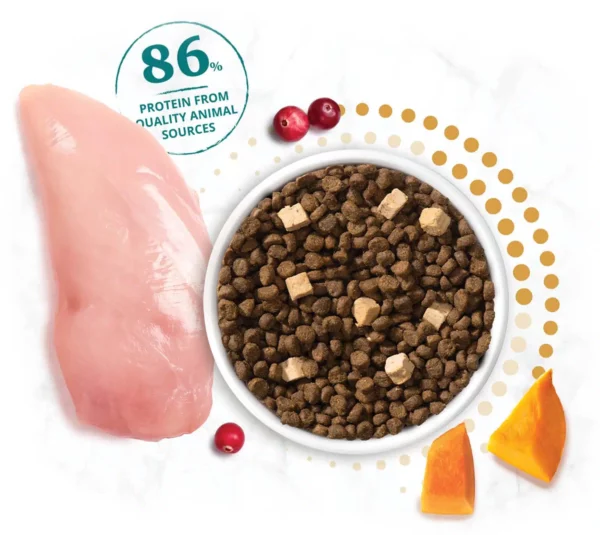 Catit Recipes – 皇室系列 | 凍乾內層凍乾鮮雞肉 老貓貓糧 1.8 / 4.5公斤 - Image 2