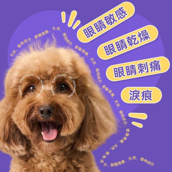 HICC Pet® – 寵物淚痕潔眼紙 無香 / 椰子香 / 麥盧卡蜂蜜 100片 - Image 3